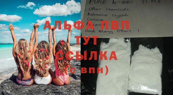ECSTASY Володарск