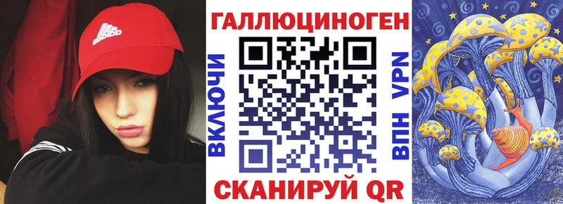Псилоцибиновые грибы мухоморы  даркнет сайт  Новокубанск 